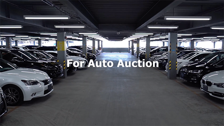 For Auto Auction